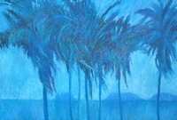 blue_palm